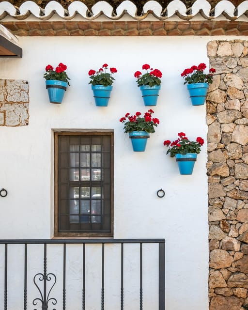 from-granada-nerja-and-frigiliana-private-day-tour