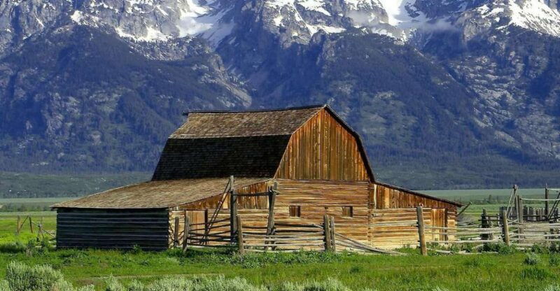 from-jackson-half-day-grand-teton-national-park-tour