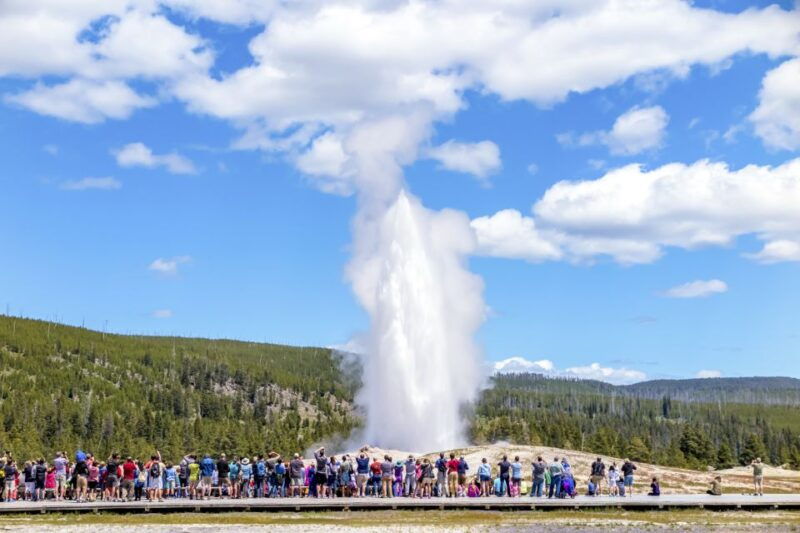 from-jackson-yellowstone-day-tour-including-entrance-fee
