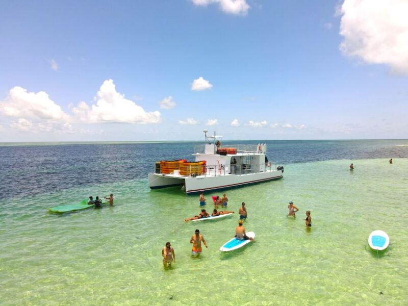 from-key-west-dolphin-watching-tour-with-lunch-drinks