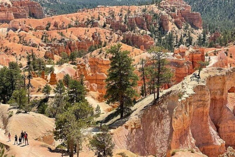 from-las-vegas-private-tour-to-zion-national-park