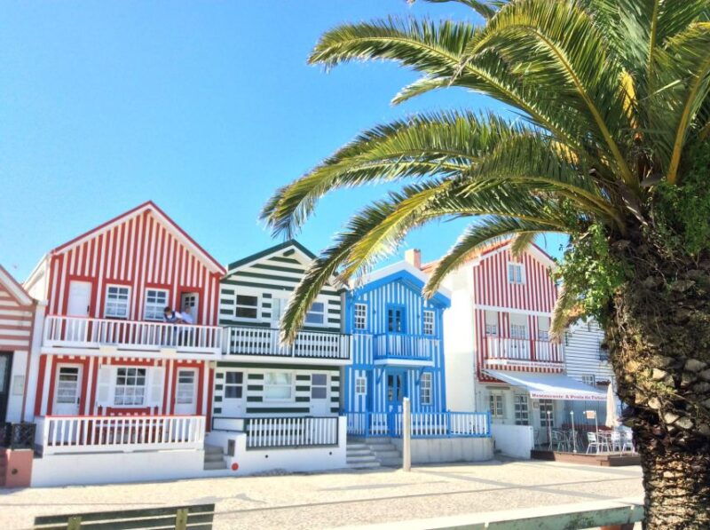 from-lisbon-aveiro-moliceiro-boat-and-coimbra-tour
