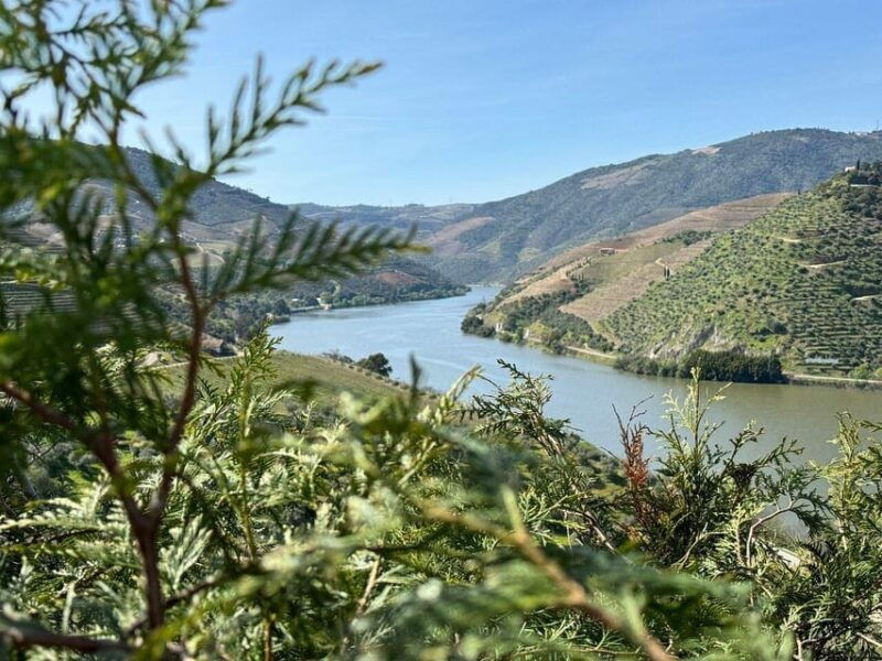from-lisbon-to-douro-valley-with-stops-up-to-3-cities