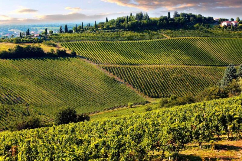 from-livorno-siena-san-gimignano-chianti-wine-excursions