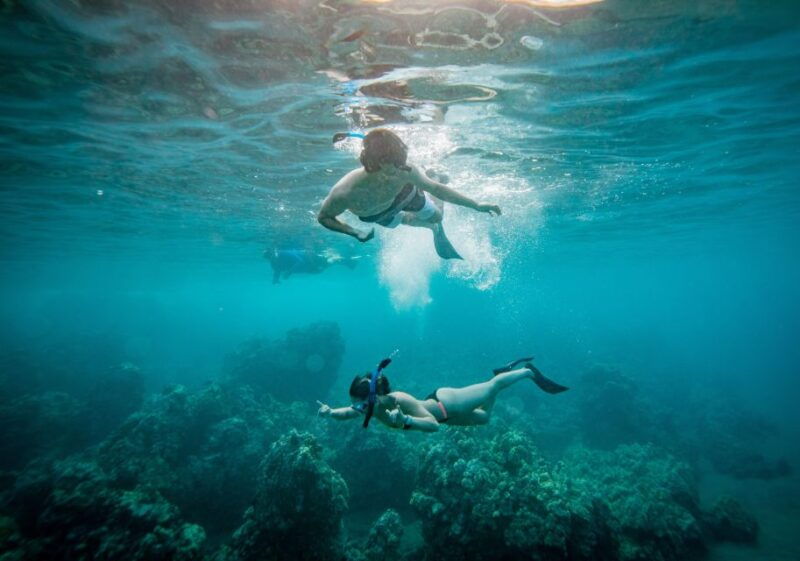 from-maalaea-turtle-town-3-hour-snorkel-and-sail-adventure