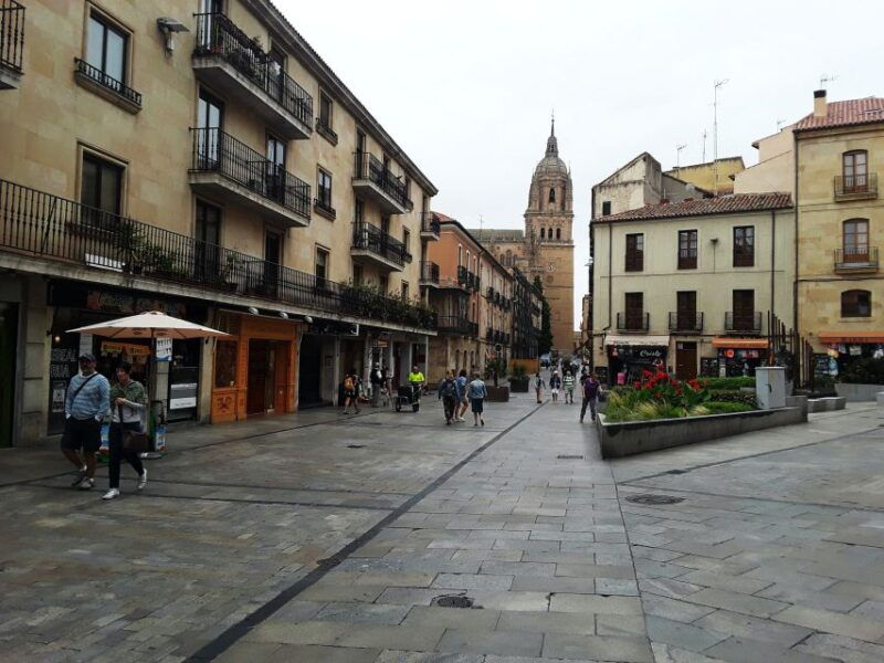 from-madrid-day-trip-to-salamanca-with-private-tour