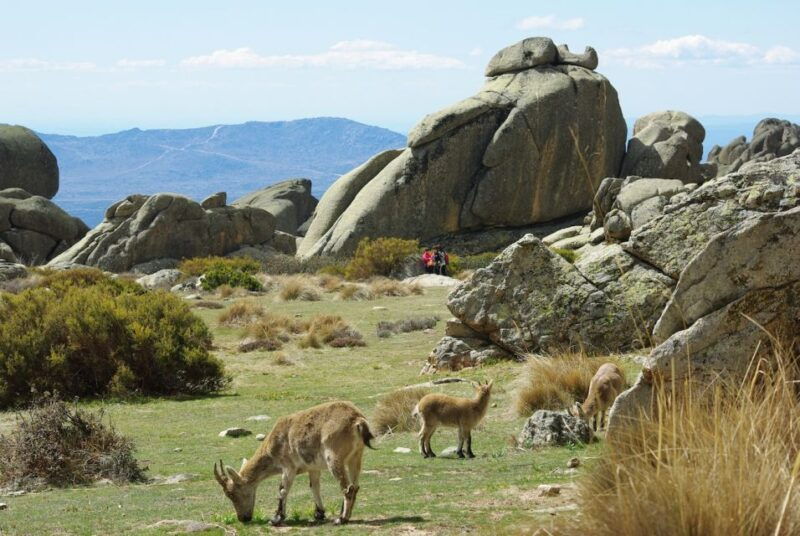 from-madrid-sierra-de-guadarrama-hiking-day-trip