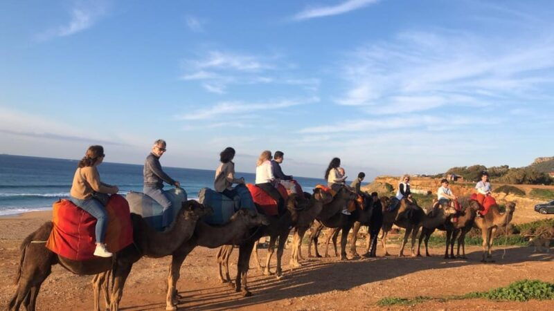 from-malaga-private-tangier-day-tour