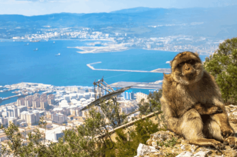 from-marbella-gibraltar-private-day-trip-with-local-guide