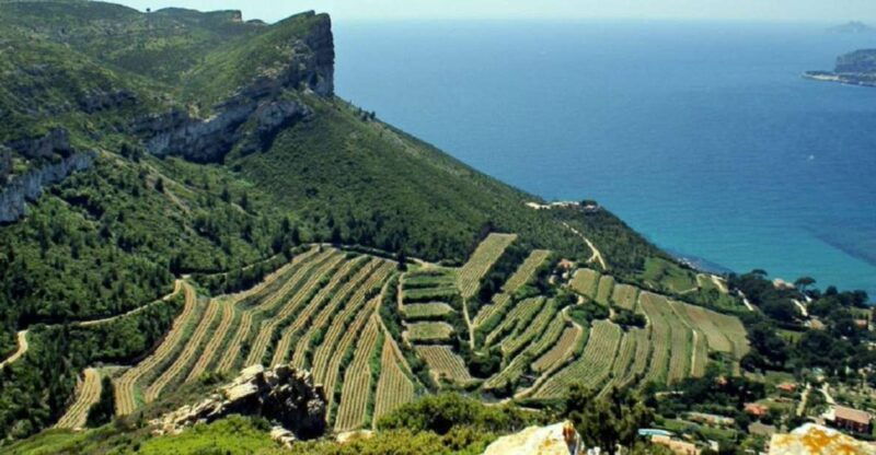 from-marseille-bandol-cassis-wine-tour-with-viewpoint