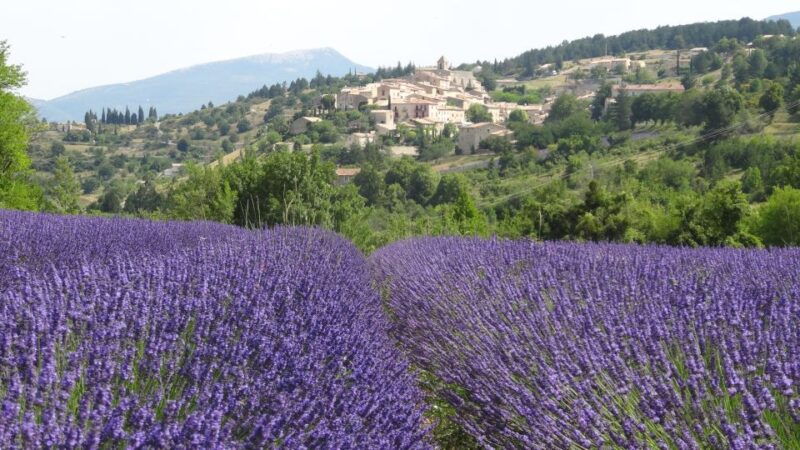from-marseille-lavender-full-day-trip-to-sault