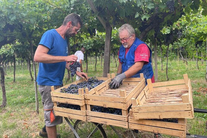 from-milan-to-venice-through-the-amarone-region-lunch-verona