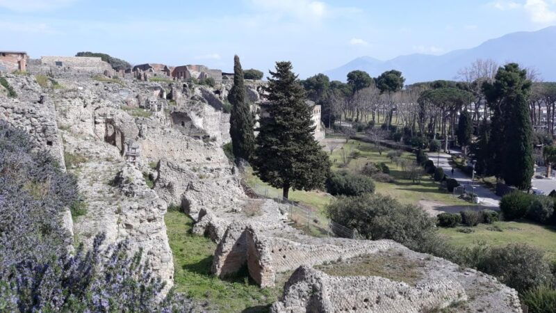 from-naples-pompeii-private-half-day-tour
