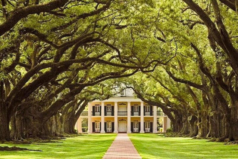 from-new-orleans-oak-alley-or-laura-plantation-tour