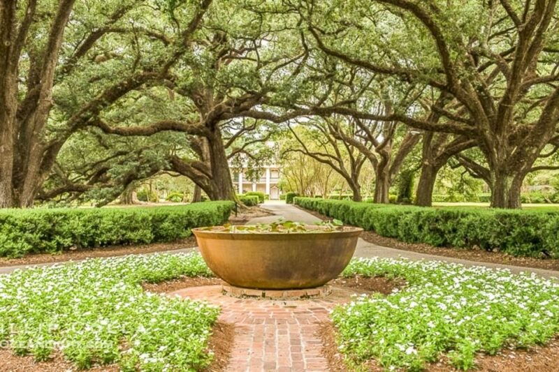 from-new-orleans-oak-alley-plantation-tour
