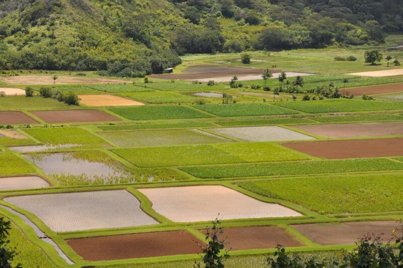 from-oahu-kauai-highlights-movie-sites-helicopter