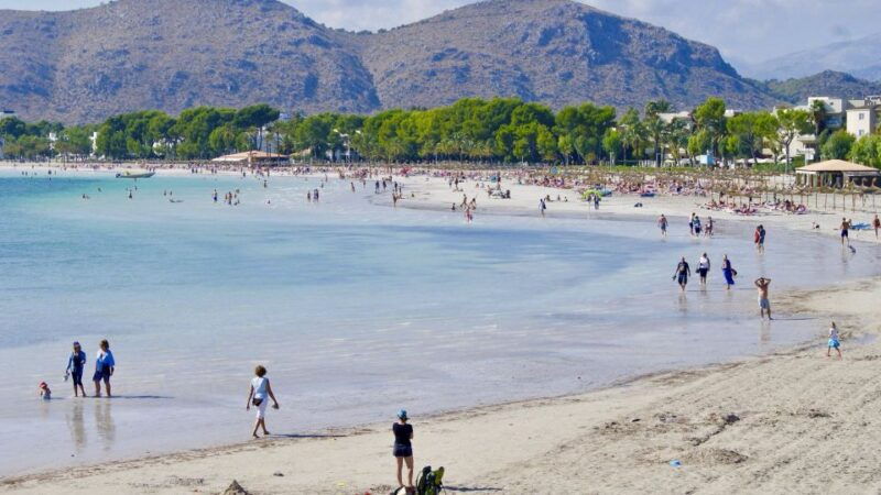 from-palma-alcudia-town-and-port-de-pollenca-guided-tour