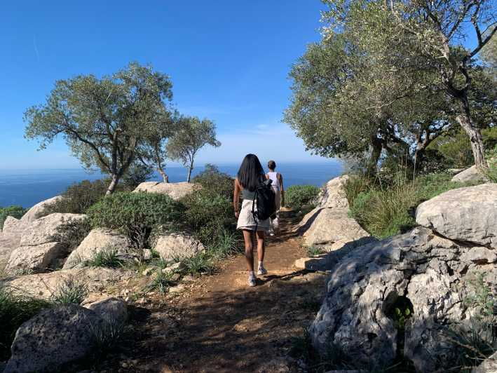 from-palma-valldemossa-tour-and-mountain-viewpoint-hike