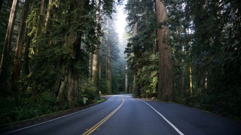 from-portland-oregon-coast-tour