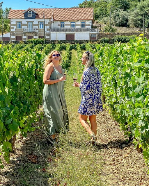 from-porto-douro-valley-authentic-tour-w-3-wineries-lunch