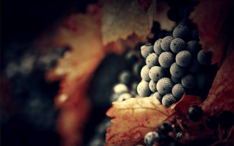 from-porto-douro-valley-full-day-tour