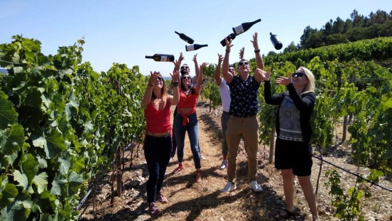 from-porto-douro-valley-tour-with-tastings-boat-lunch
