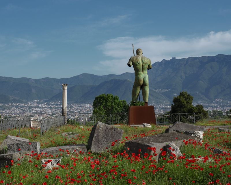from-salerno-pompeii-guided-walking-tour-with-ticket