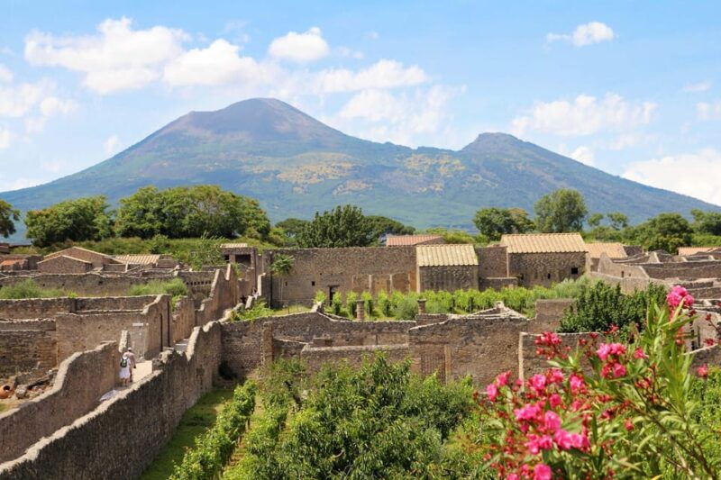 from-salerno_pompeii-express_bus-skip-the-line-ticket