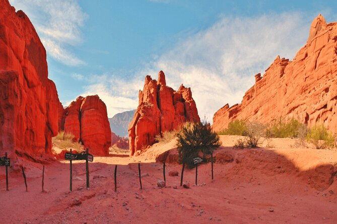 from-salta-two-full-day-excursions-through-cafayate-and-cachi