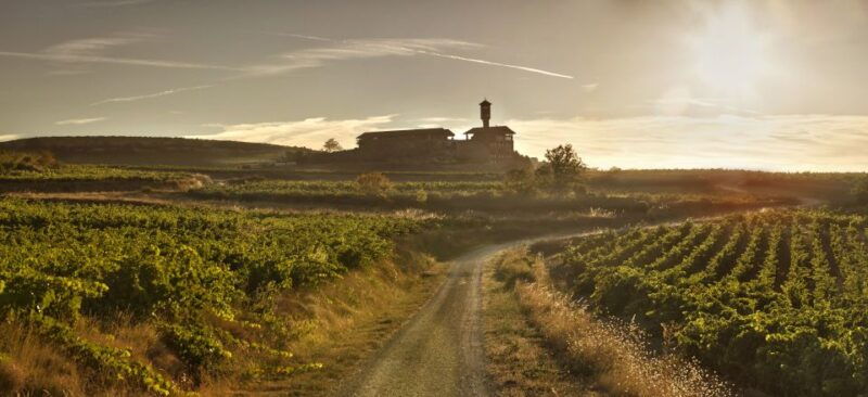 from-san-sebastian-bilbao-vitoria-la-rioja-wineries-tour