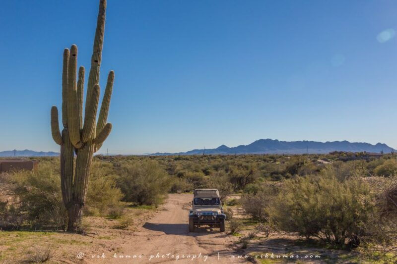 from-scottsdale-sonoran-desert-tonto-national-forest-trip