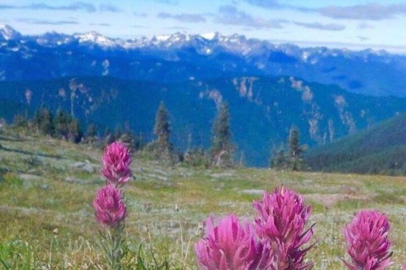 from-seattle-olympic-national-park-full-day-tour