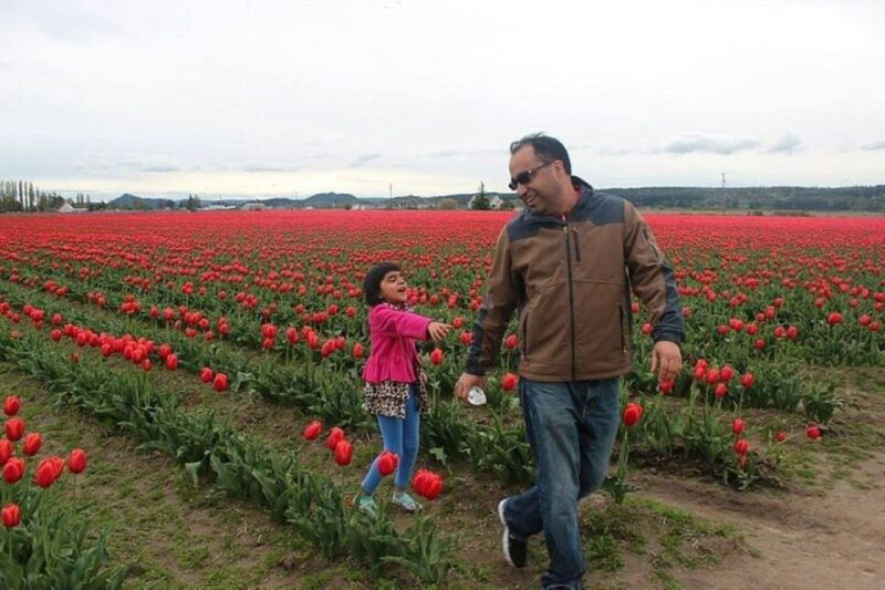 from-seattletulip-festival-at-skagit-valley-and-la-conner