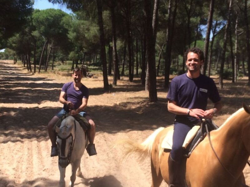 from-seville-horseback-riding-experience-in-aljarafe