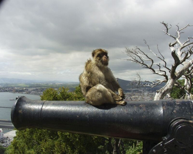 from-seville-private-tour-of-gibraltar