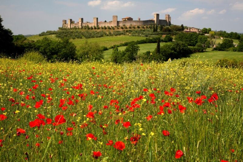 from-siena-chianti-countryside-e-bike-tour-w-lunch-wine