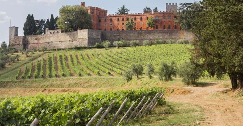 from-siena-chianti-wine-tour-with-lunch