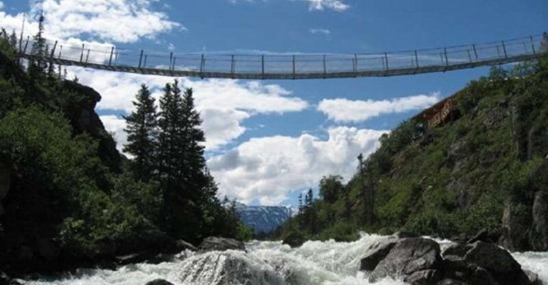 from-skagway-white-pass-and-yukon-suspension-bridge-tour