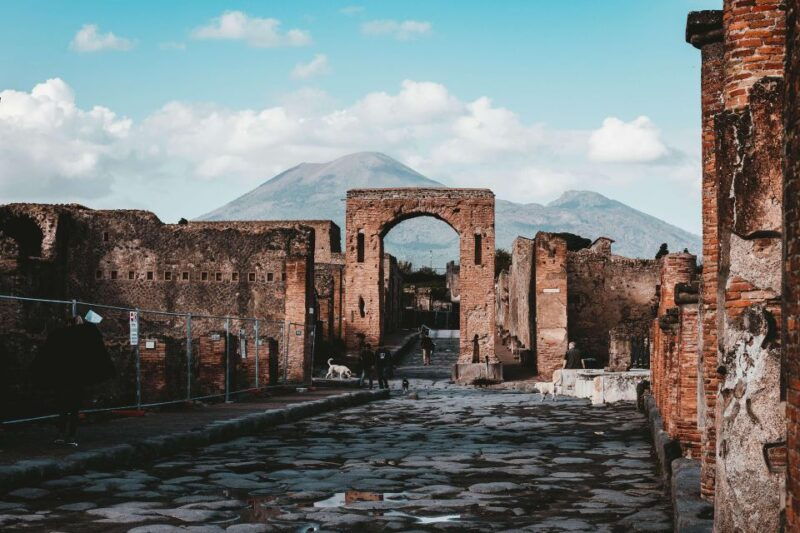 from-sorrento-skip-the-line-pompeii-tour-and-vineyard-lunch