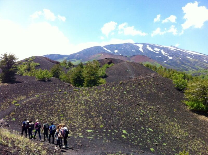 from-syracuse-etna-tour-with-light-lunch-and-wine-tasting