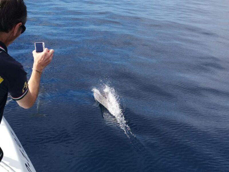 from-tazacorte-fast-yacht-tour-of-la-palma