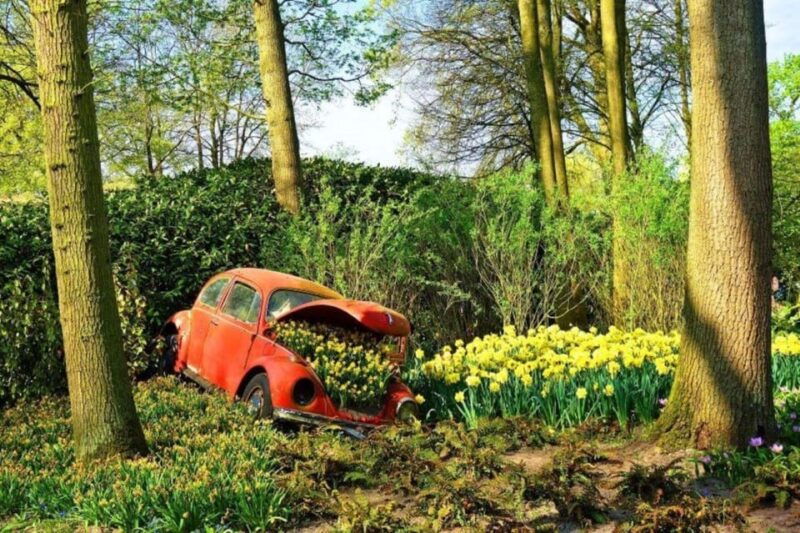 from-the-hague-private-sightseeing-tour-to-keukenhof