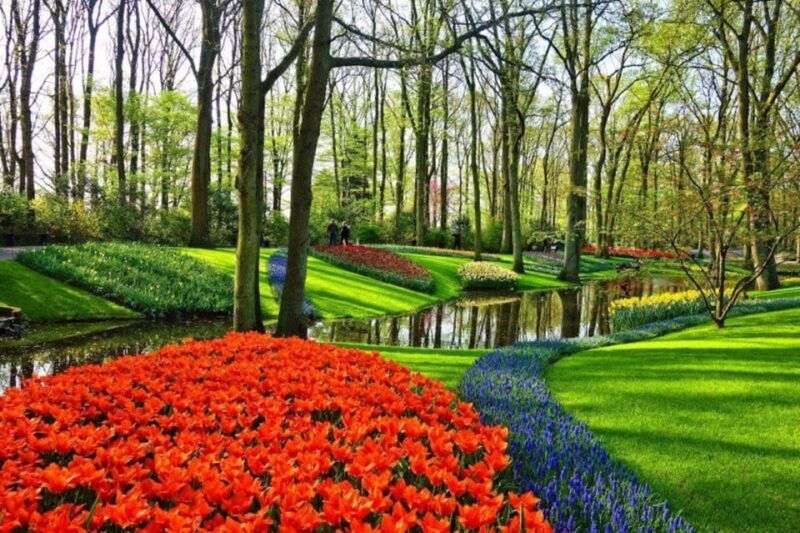 from-the-hague-private-tour-to-keukenhof-tulip-experience