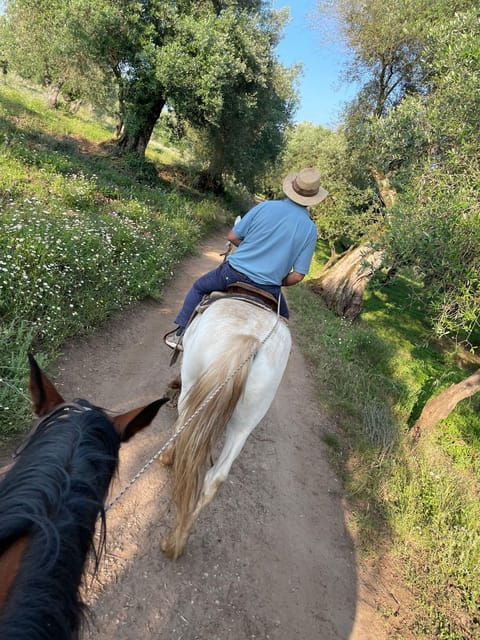 from-tropea-horseback-riding-tour-with-picnic-in-francica