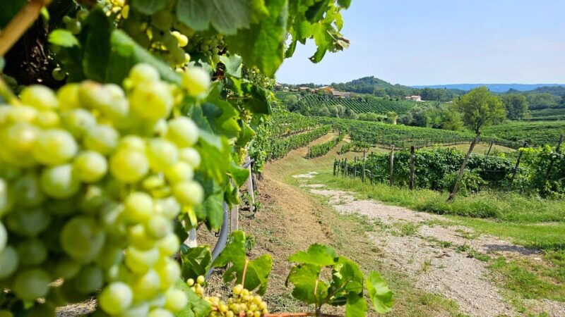 from-venice-prosecco-full-day-tour-w-wine-tasting-lunch