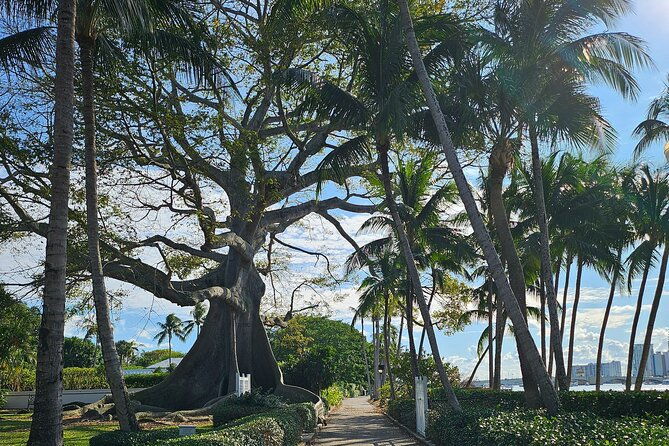 ft-lauderdale-brightline-train-to-palm-beach-4hr-ebike-rental