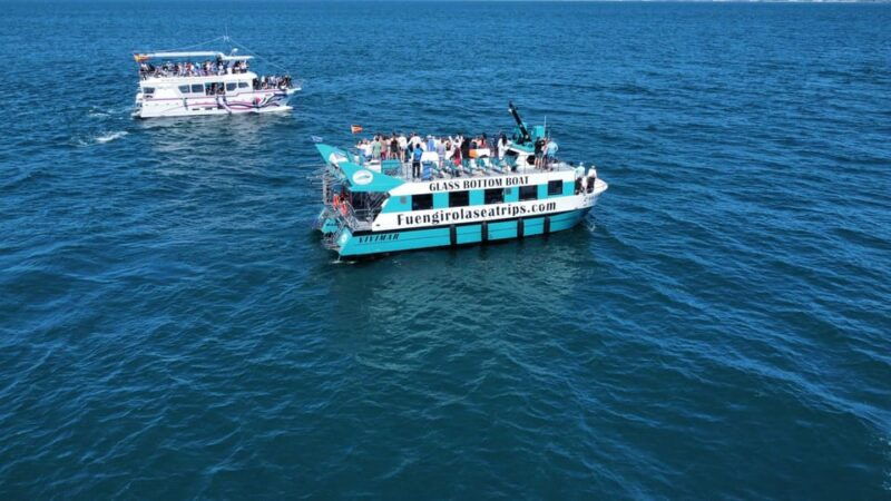 fuengirola-catamaran-tour-to-spot-dolphins