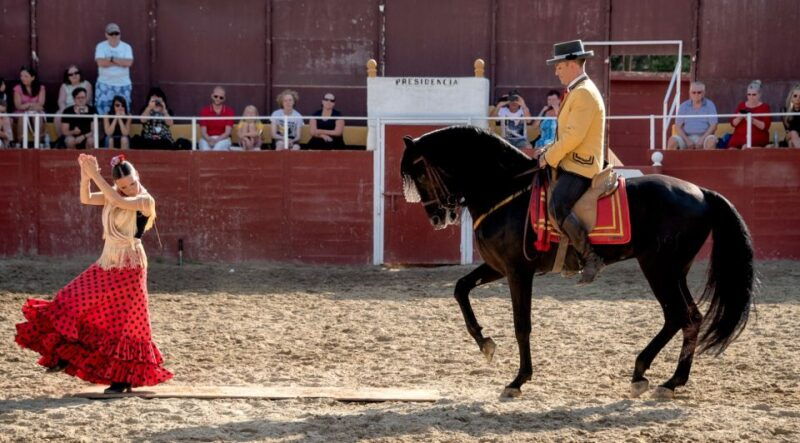 fuengirola-spanish-horse-show-with-optional-dinner-flamenco