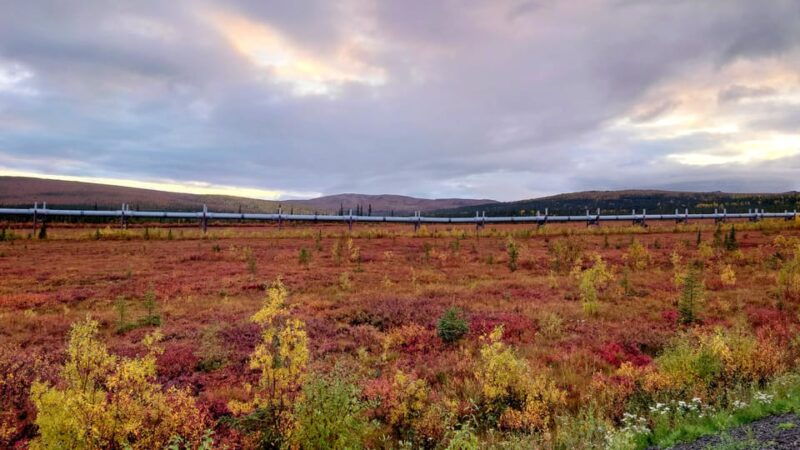 full-day-arctic-circle-tour-3