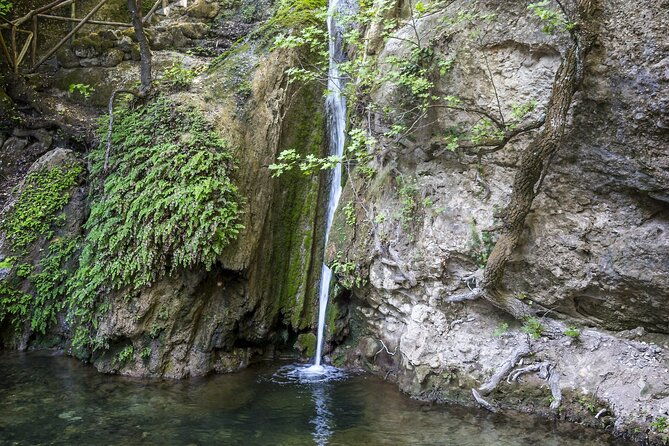 full-day-butterflies-and-boat-tour-to-chalki-island